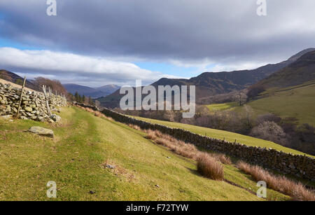 En regardant en direction de Newlands Beck par en dessous de la haute banque Ucba Lake District, UK. Banque D'Images