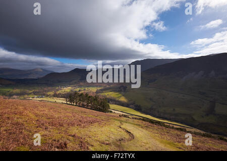 En regardant en direction de Newlands Beck de l'Ucba Bank dans le Lake District, UK. Banque D'Images