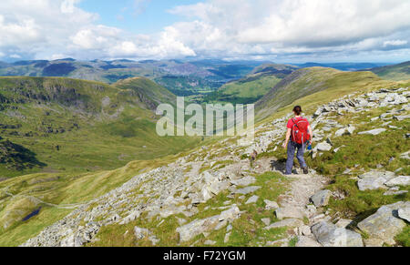 Un randonneur en descendant du sommet de la rue Haute, au-dessus et vers les pâturages de Thornthwaite Crag Beck dans l'English Lacs romains Banque D'Images