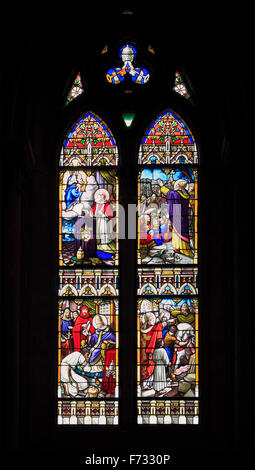 La cathédrale de Lujan. L'état de Buenos Aires, Argentine. Banque D'Images