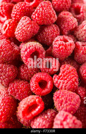 Une belle sélection de fruits rouges framboises fraîchement cueillies. Banque D'Images