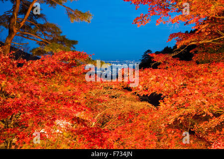 Couleurs d'automne,Oyama-dera,Mt Oyama,ville Isehara, préfecture de Kanagawa, Japon Banque D'Images