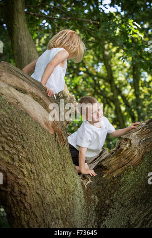 Jeune garçon et fille escalade un arbre dans une forêt. Banque D'Images