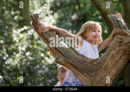 Jeune fille escalade un arbre dans une forêt. Banque D'Images