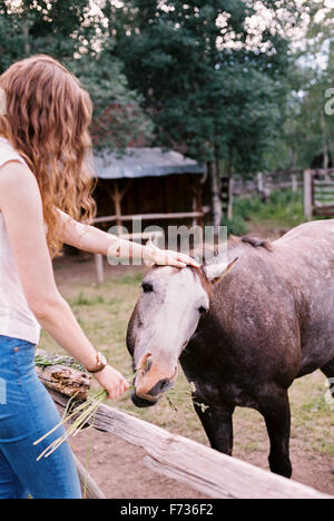 Femme de nourrir un cheval dans un enclos. Banque D'Images