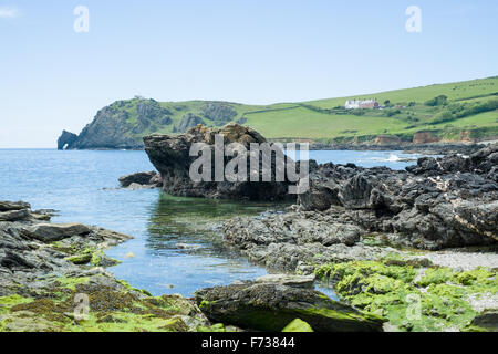 Avis de Prawle Prawle Point, East Devon, Banque D'Images