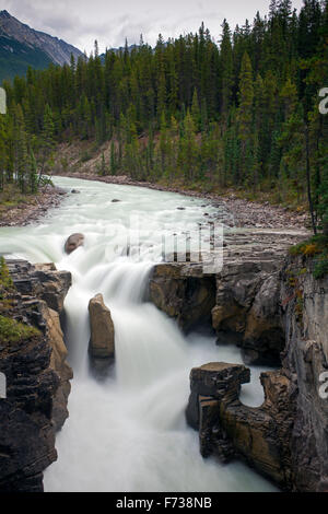 Sunwapta Falls, chutes supérieures de la rivière Athabasca dans le parc national Jasper, Alberta, Canada, Canadian Rockies Banque D'Images