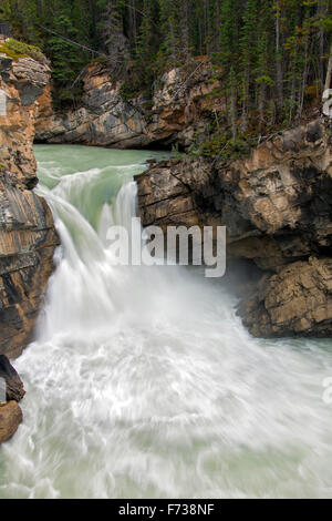 Sunwapta Falls, chutes de la rivière Athabasca dans le parc national Jasper, Alberta, Canada, Canadian Rockies Banque D'Images