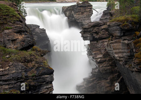 Les chutes Athabasca de la rivière Athabasca dans le parc national Jasper, Alberta, Canada, Canadian Rockies Banque D'Images