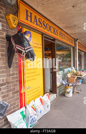 Pet Shop Centre poufs, West Sussex England United Kingdom UK Banque D'Images