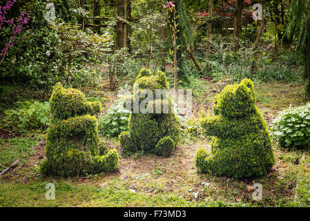 Topiary représentant le trois petits ours dans un jardin dans un bois privé UK Banque D'Images