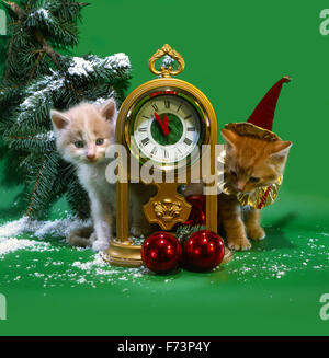 Ambiance festive, Nouvel An, Noël composition deux chatons avec les heures et les sphères rouges pour un sapin vert format carré.. Banque D'Images