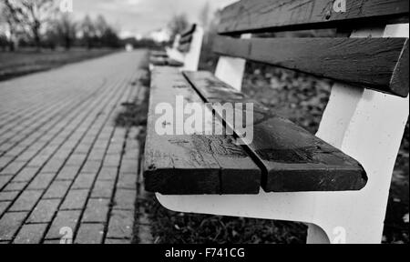 Banc dans le parc. Gdansk Zaspa, Pologne. Banque D'Images