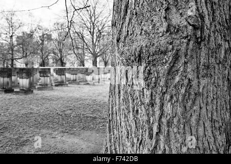 Monuments cimetière de Zaspa Héros. Victimes du nazisme et de la Seconde Guerre mondiale. Banque D'Images