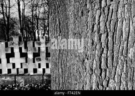 Monuments cimetière de Zaspa Héros. Victimes du nazisme et de la Seconde Guerre mondiale. Banque D'Images