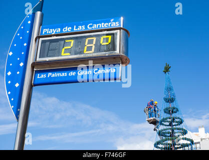 Las Palmas, Gran Canaria, Îles Canaries, Espagne. 25 novembre, 2015. Météo : peu de chance sur un Noël blanc sur la plage de Gran Canaria comme arbre de Noël remonte sur la plage de la ville avec la température un doux 28 degrés Celsius (82 degrés Fahrenheit). Credit : Alan Dawson News/Alamy Live News Banque D'Images