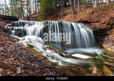 Amérique du Nord, Canada, Ontario, Owen Sound, tisserands Creek Falls Banque D'Images