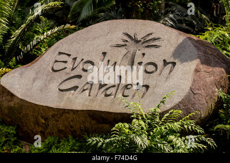 Jardin de l'évolution à Singapour Banque D'Images