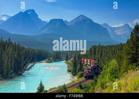 Train de marchandises du Canadien Pacifique le long de la rivière Bow au Morant's Curve, Banff National Park, Alberta, Canadian Rockies Banque D'Images