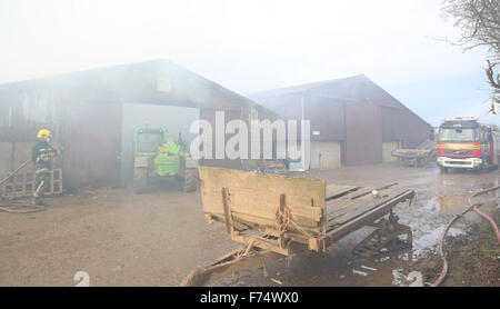 Fareham, Hampshire, Royaume-Uni. 25 novembre, 2015. Les équipes de pompiers de Fareham, Gosport et Hightown ont été appelés à un barn farm dans Brownwich Titchfield Lane en cet après-midi. Hampshire Fire and Rescue Service Watch Manager Ian Cambridge de Fareham dit 'Quand le premier équipage est allé(e) à la grange était bien allumée.' puis il a poursuivi en saluant les efforts de l'équipage et le dur travail qu'ils ont mis en pour arrêter l'incendie de se propager à d'autres deux granges attenantes. Un porteur d'eau a dû être appelé en raison du peu d'approvisionnement en eau dans la région. Credit : uknip/Alamy Live News Banque D'Images