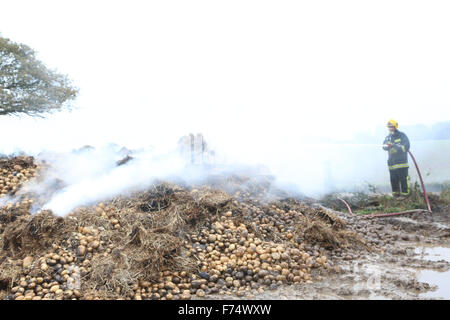 Fareham, Hampshire, Royaume-Uni. 25 novembre, 2015. Les équipes de pompiers de Fareham, Gosport et Hightown ont été appelés à un barn farm dans Brownwich Titchfield Lane en cet après-midi. Hampshire Fire and Rescue Service Watch Manager Ian Cambridge de Fareham dit 'Quand le premier équipage est allé(e) à la grange était bien allumée.' puis il a poursuivi en saluant les efforts de l'équipage et le dur travail qu'ils ont mis en pour arrêter l'incendie de se propager à d'autres deux granges attenantes. Un porteur d'eau a dû être appelé en raison du peu d'approvisionnement en eau dans la région. Credit : uknip/Alamy Live News Banque D'Images