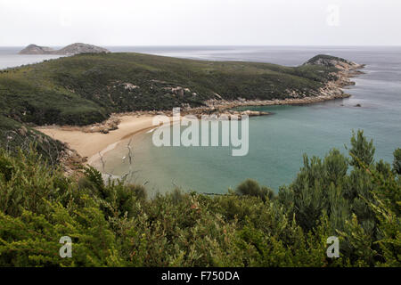 Paysage côtier sur le point tracé dans la langue Wilsons Promontory National Park, Victoria, Australie. Banque D'Images