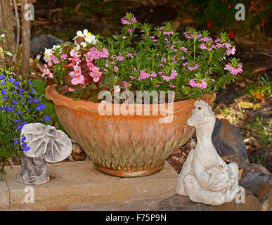 Récipient en terre cuite avec Scaevola aemula,'Pink Charm' & literie rose bégonias à côté de deux fleurs de jardin ornements décoratifs Banque D'Images