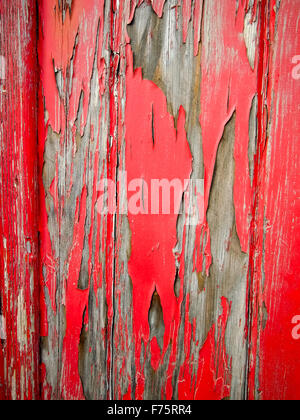 L'épluchage de la peinture rouge sur une porte en bois Banque D'Images