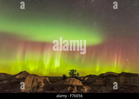 Le Northern Lights sur les badlands du Parc provincial Dinosaur, en Alberta, le 11 septembre 2015. Il s'agit d'une frame à partir d'un 280- Banque D'Images