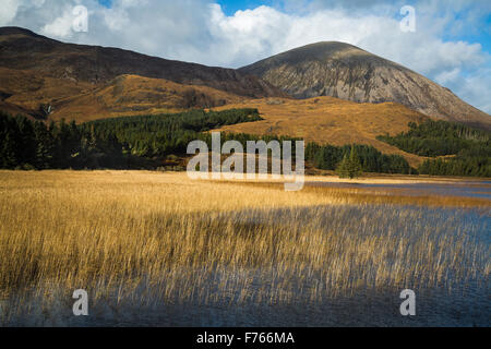 Couleurs d'automne sur Beinn Na Caillich Loch Cill Chriosd ci-dessus, l'île de Skye, Écosse Banque D'Images