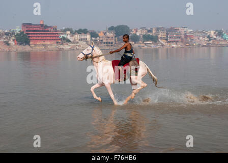 Boy riding horse gange, Varanasi, Uttar Pradesh, Inde, Asie Banque D'Images