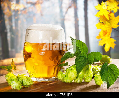 Verre de bière avec des cônes de houblon à l'automne Banque D'Images