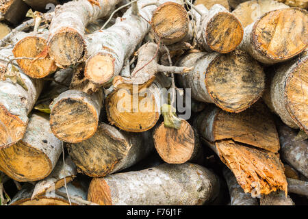 Pile de bois de chauffage, l'énergie d'une ressource renouvelable Banque D'Images