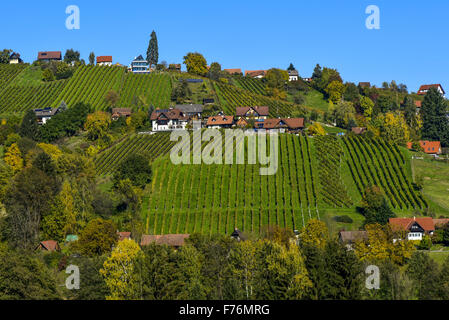 Schilcher Weinstrasse, Sankt Stefan ob Stainz, Styrie, Autriche Banque D'Images