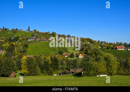 Schilcher Weinstrasse, Sankt Stefan ob Stainz, Styrie, Autriche Banque D'Images