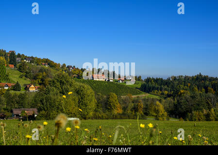 Schilcher Weinstrasse, Sankt Stefan ob Stainz, Styrie, Autriche Banque D'Images