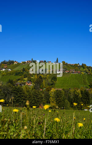 Schilcher Weinstrasse, Sankt Stefan ob Stainz, Styrie, Autriche Banque D'Images