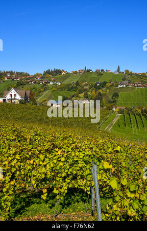 Schilcher Weinstrasse, Sankt Stefan ob Stainz, Styrie, Autriche Banque D'Images