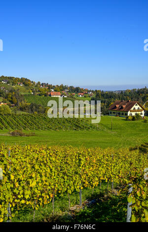 Schilcher Weinstrasse, Sankt Stefan ob Stainz, Styrie, Autriche Banque D'Images