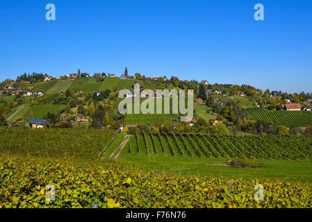 Schilcher Weinstrasse, Sankt Stefan ob Stainz, Styrie, Autriche Banque D'Images