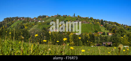 Schilcher Weinstrasse, Sankt Stefan ob Stainz, Styrie, Autriche Banque D'Images