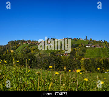 Schilcher Weinstrasse, Sankt Stefan ob Stainz, Styrie, Autriche Banque D'Images