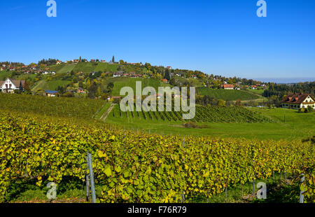 Schilcher Weinstrasse, Sankt Stefan ob Stainz, Styrie, Autriche Banque D'Images