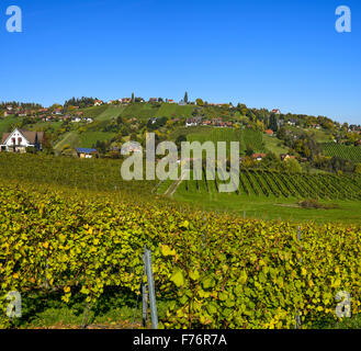 Schilcher Weinstrasse, Sankt Stefan ob Stainz, Styrie, Autriche Banque D'Images