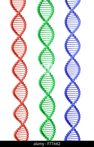 Trois brins d'ADN isolé sur blanc Banque D'Images