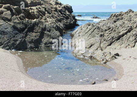 Piscine créé par les vagues venant à travers les rochers l'un des quatre. Des petits cailloux et algues dans la piscine ( l'un des quatre) Banque D'Images