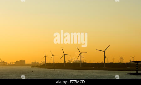 Mer du Nord, moulins à vent, wind farm in Rotterdam port au lever du soleil. Banque D'Images