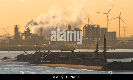 Mer du Nord, drague en Rotterdam port au lever du soleil avec l'expédition, les conteneurs de vrac remorqueurs Banque D'Images