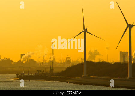 Mer du Nord, moulins à vent, wind farm in Rotterdam port au lever du soleil avec l'expédition, les conteneurs de vrac remorqueurs Banque D'Images