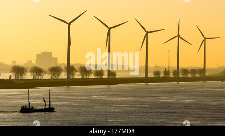 Mer du Nord, moulins à vent, wind farm in Rotterdam port au lever du soleil avec l'éolienne d'expédition Banque D'Images